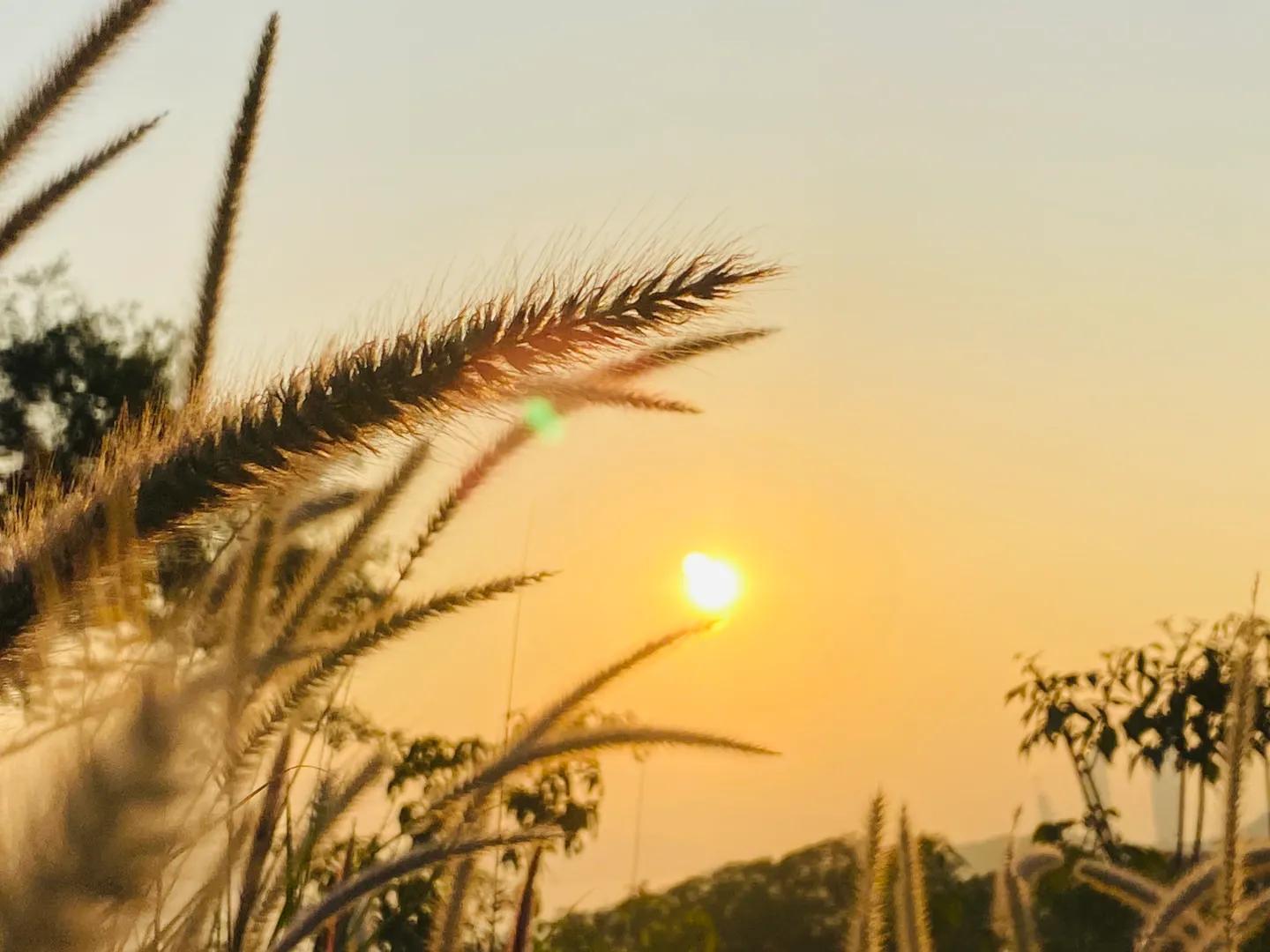 2023新年寄语和展望,2023新年寄语公司