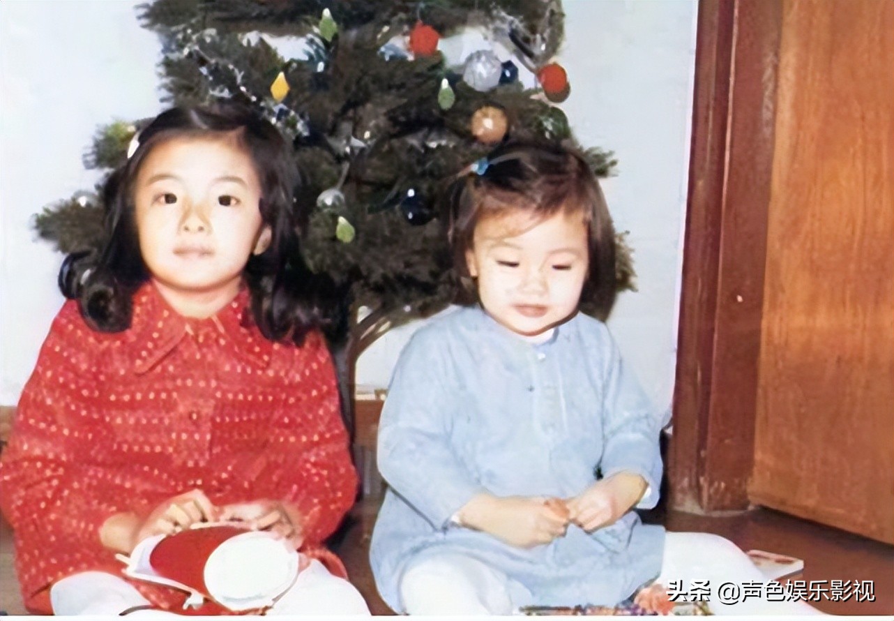 李嘉欣情史混乱为啥还能嫁豪门,李嘉欣阔太太