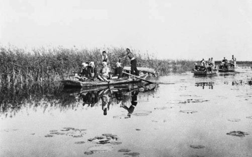 河北安新话,安新县历史上的文化