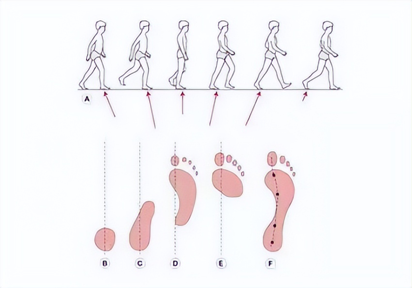 冉冉运动康复训练视频,踝关节康复斜板站立训练方法