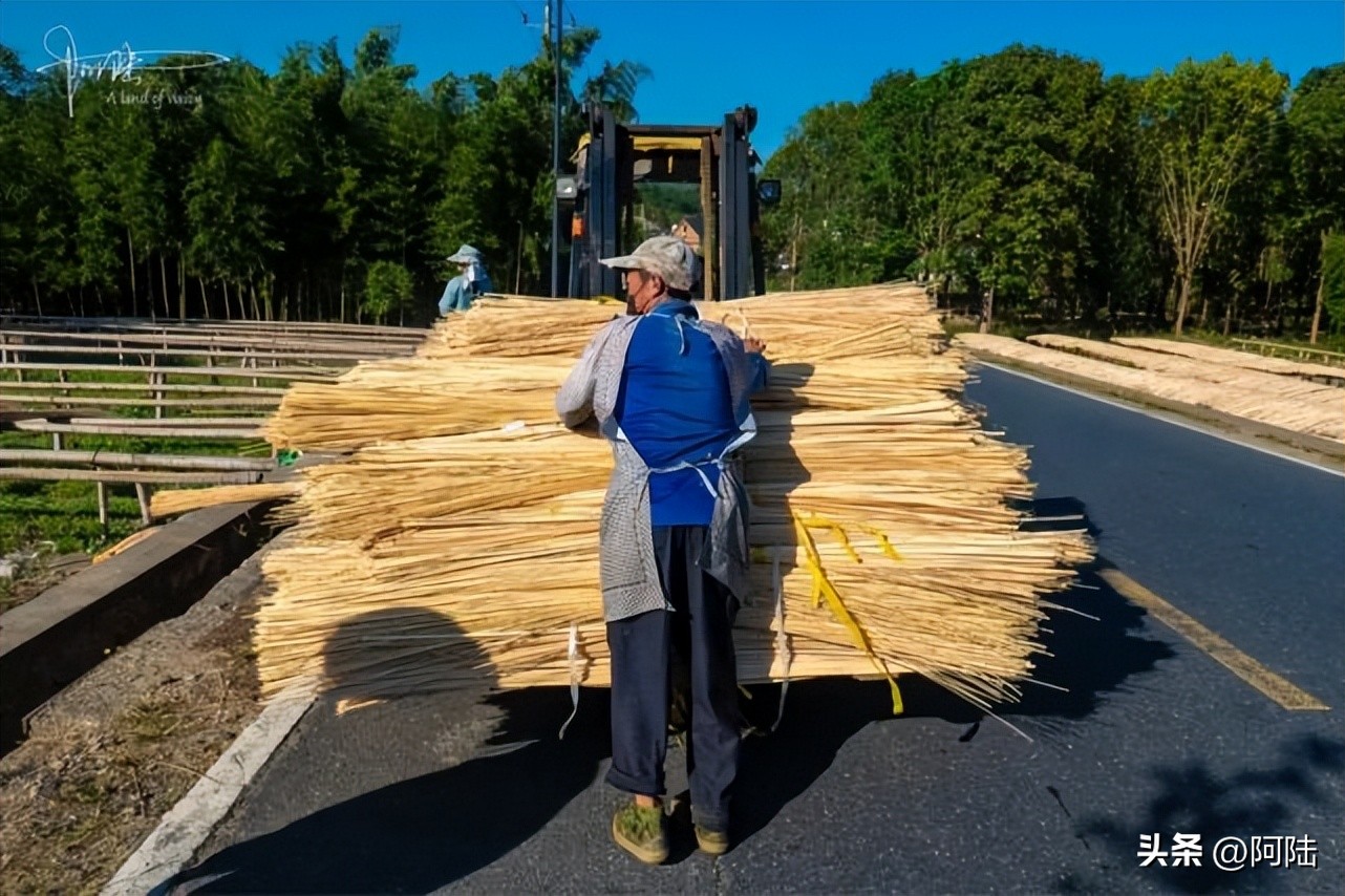 无意间路过太公堂村,邂逅了余杭“竹”功夫,人文风景挺不错