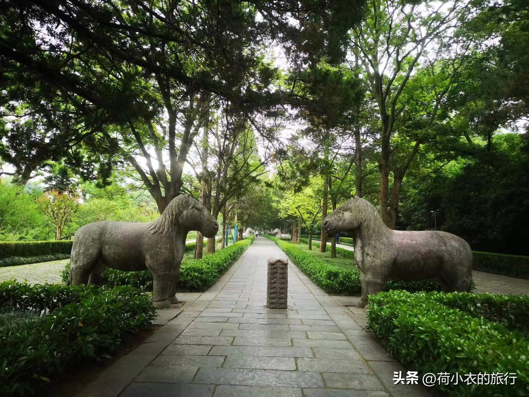 中山陵明孝陵南京博物院旅游攻略,南京明孝陵观赏秋色的最佳时间