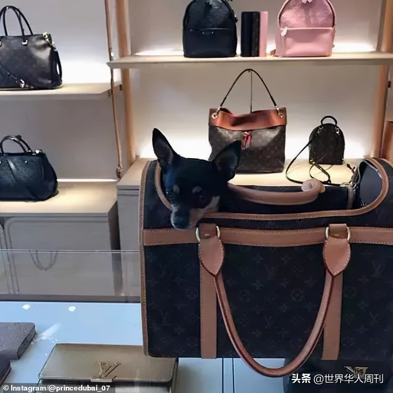 穷小伙冒充沙特王子行骗三十多年,他冒充我炫富知乎后续