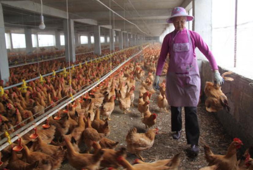 农民想进城打工怎么办,农民进城打工容易吗