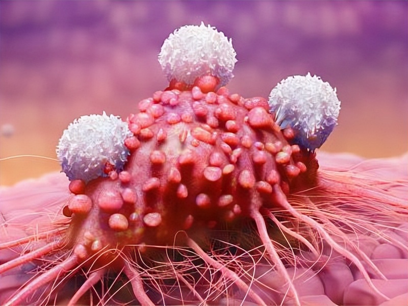 6种通过“性传播”的疾病，你知道几种？私生活别太大意