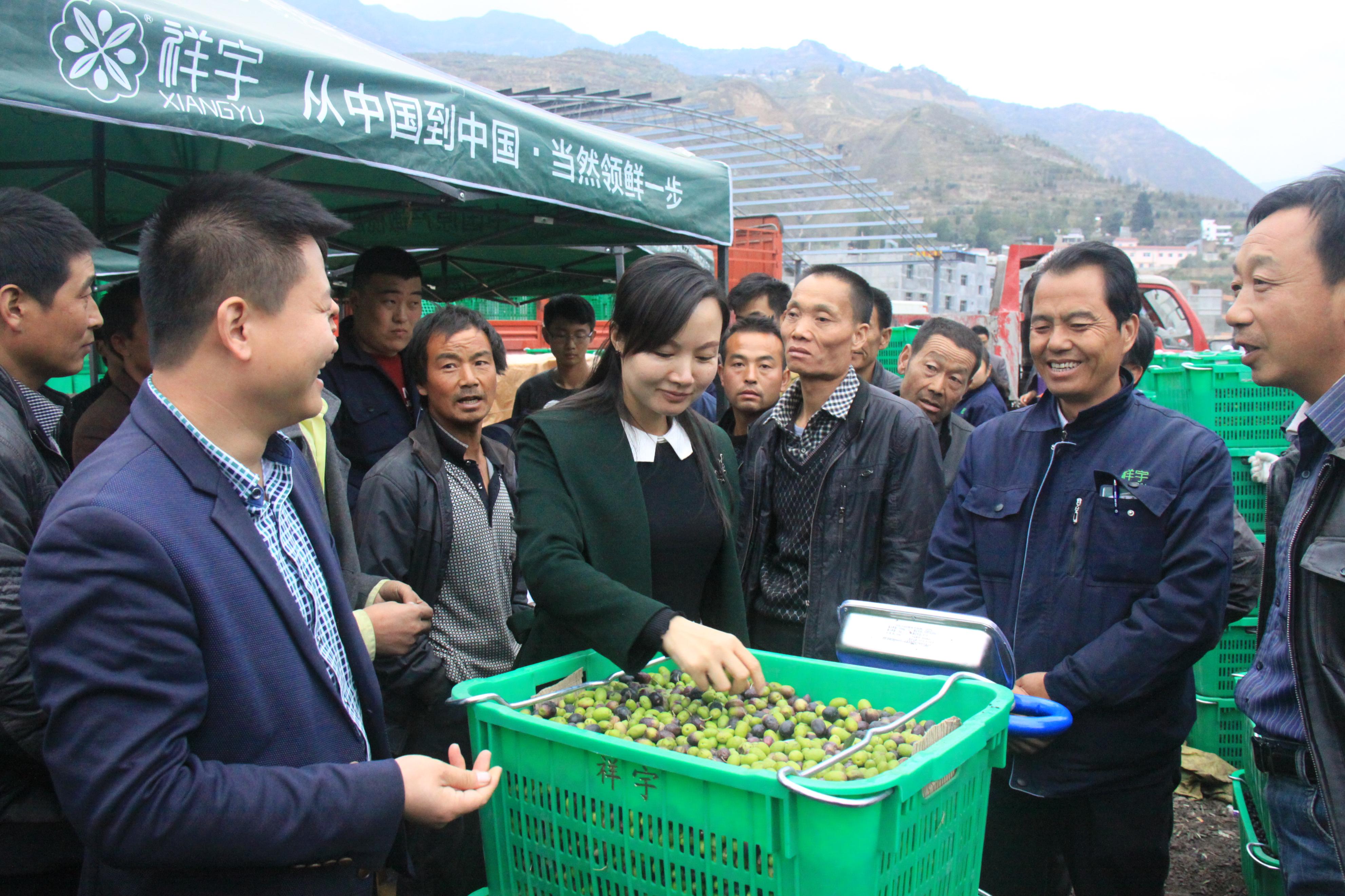 首席乡村商学堂结营二期招生启动,乡村商学堂