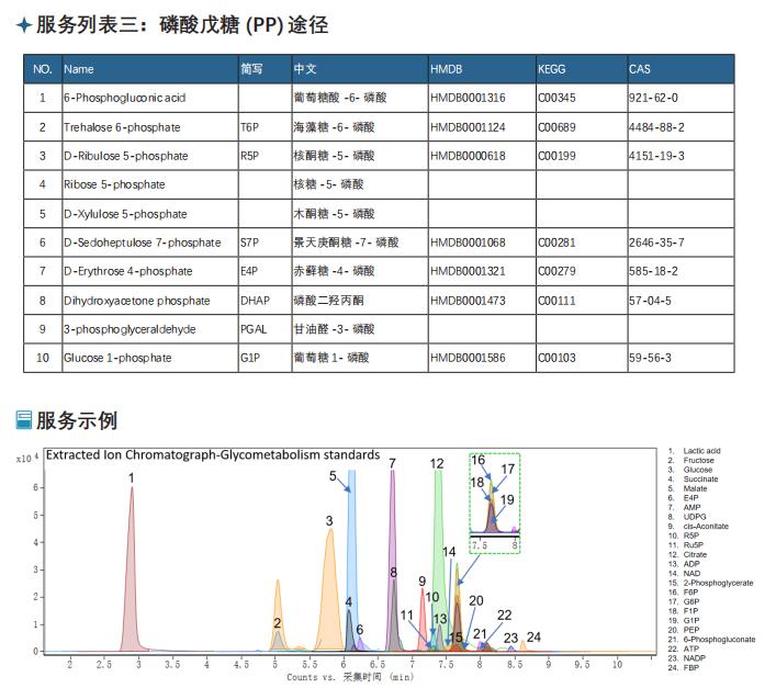宠物狗容易出现的几种病况,宠物狗最容易得什么疾病