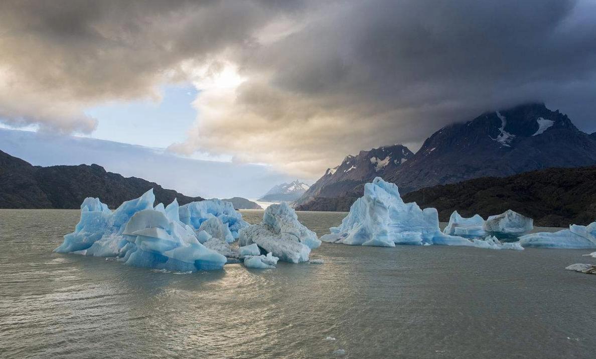 南极冰鱼为什么会苦,南极鱼能在冰天雪地中健康生长