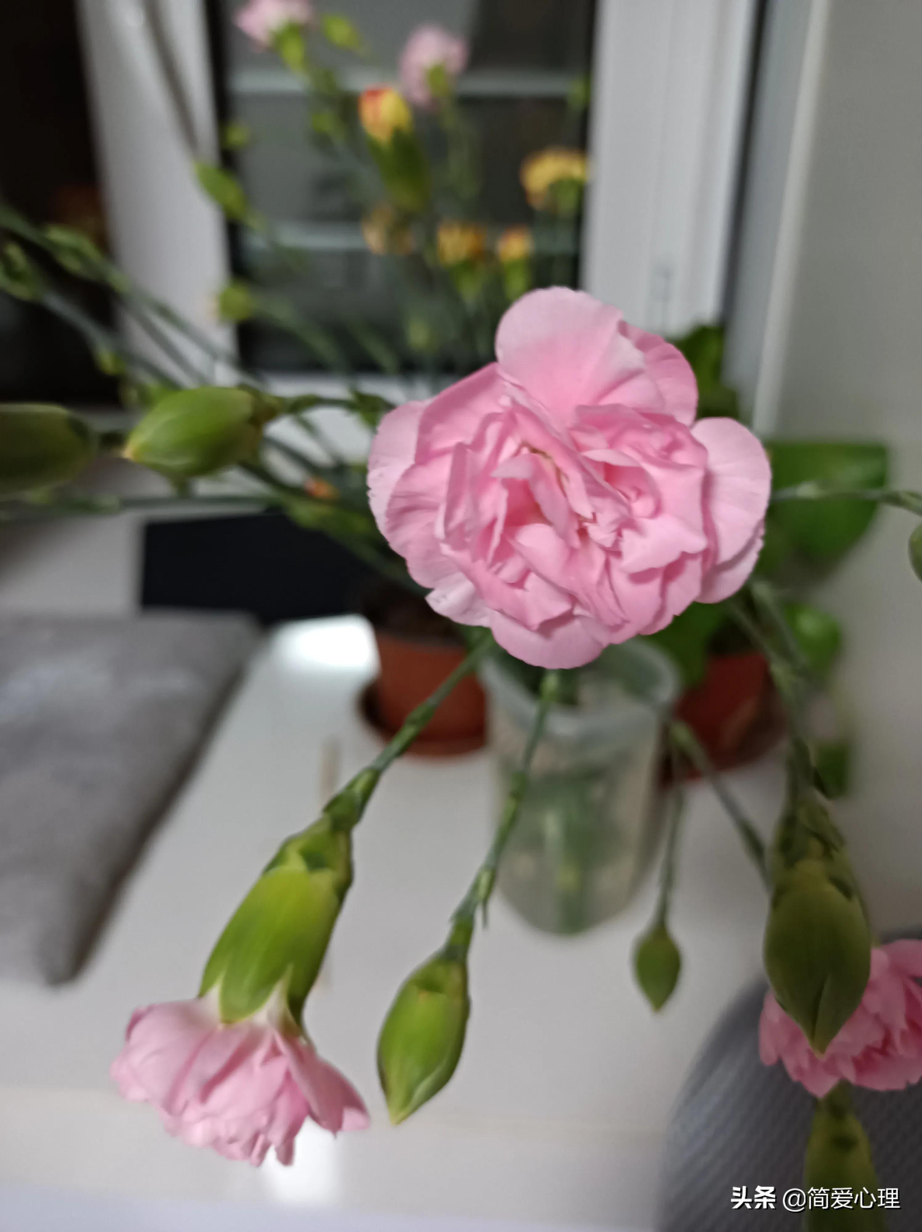 《团体咨询与心理治疗》：团体里的成长与众不同