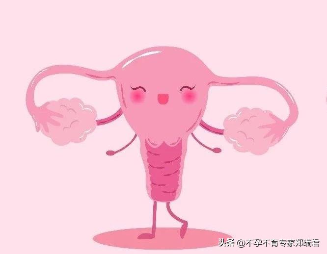 怎么才能让卵巢不衰老,让高龄女性恢复卵巢中药土方法