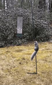 中国队世界杯搞笑视频,世界杯失误搞笑视频