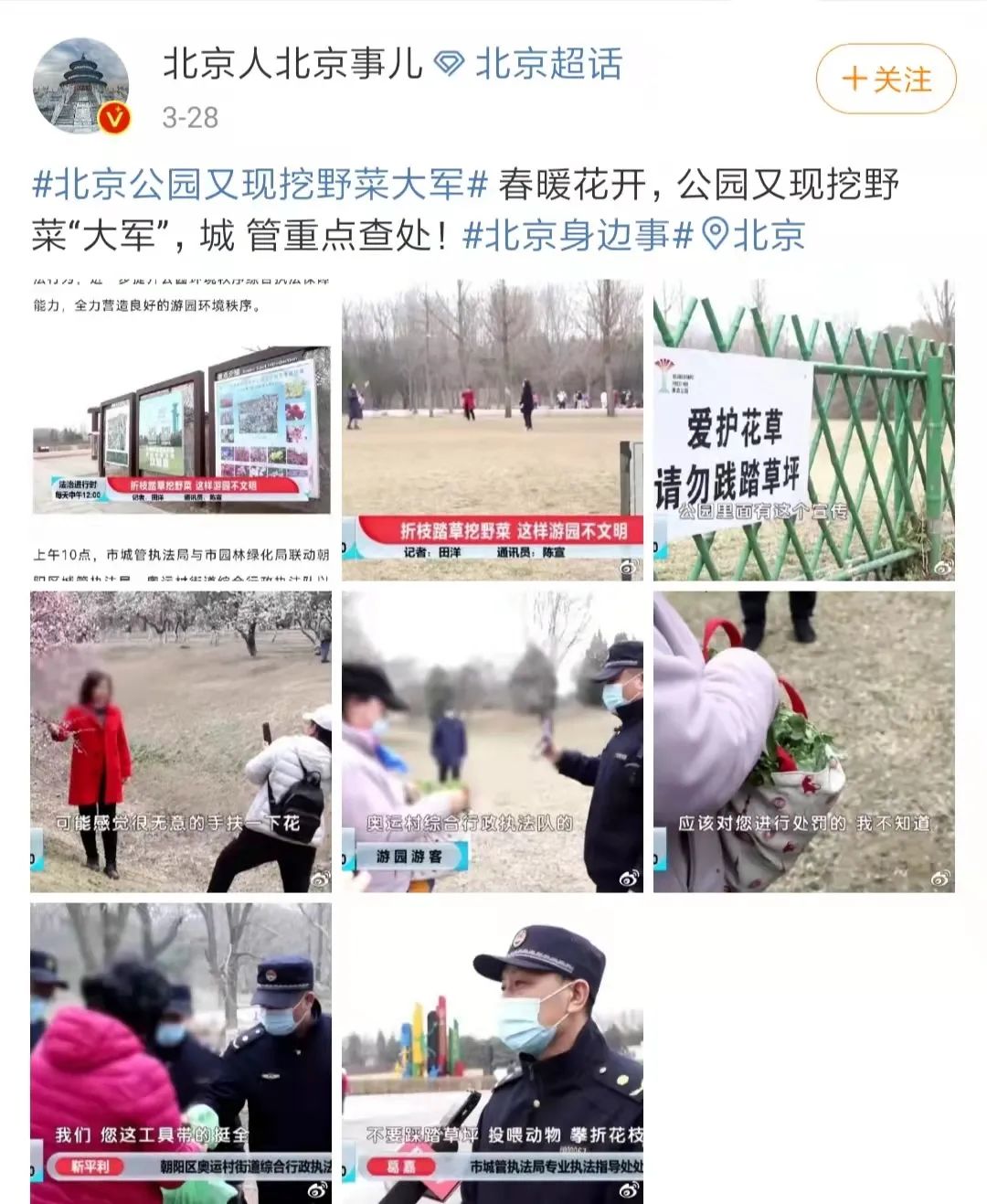 菜价涨了,北京菜价零售最新统计