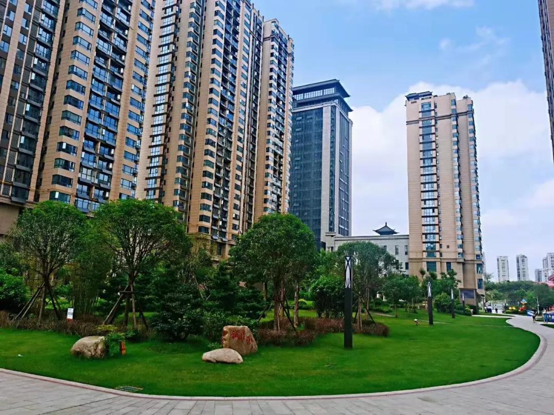 “谁家小区成天上电视？”“我家！”