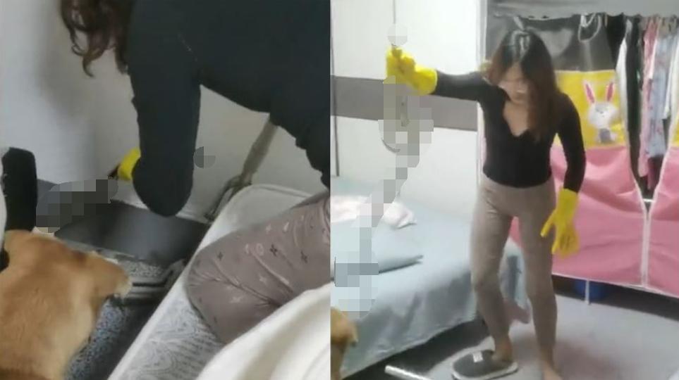 屋里进蛇女子淡定抓蛇,女子抓2米多长的蛇