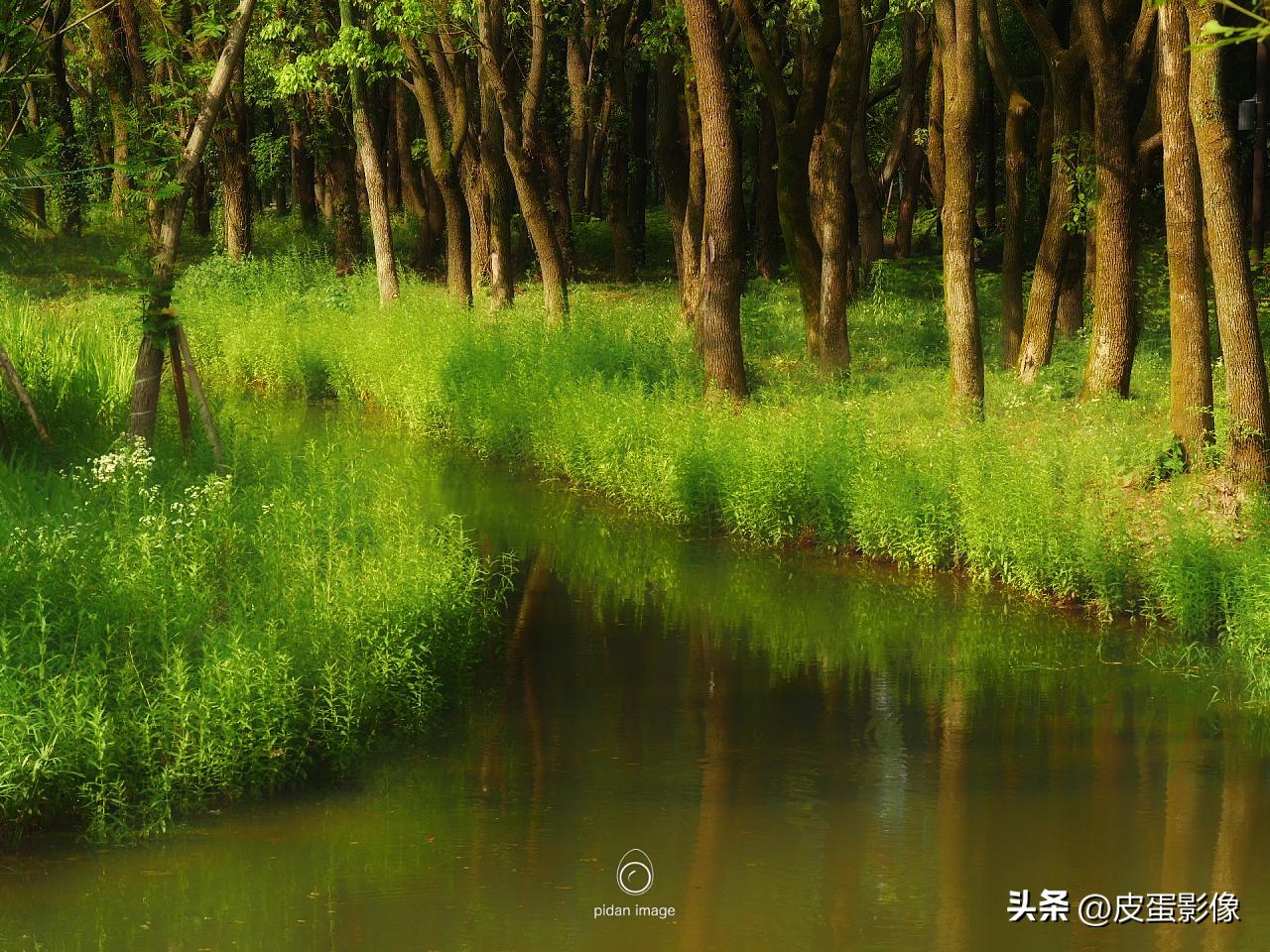 教女朋友摄影第一天,摄影初学者虚化照片