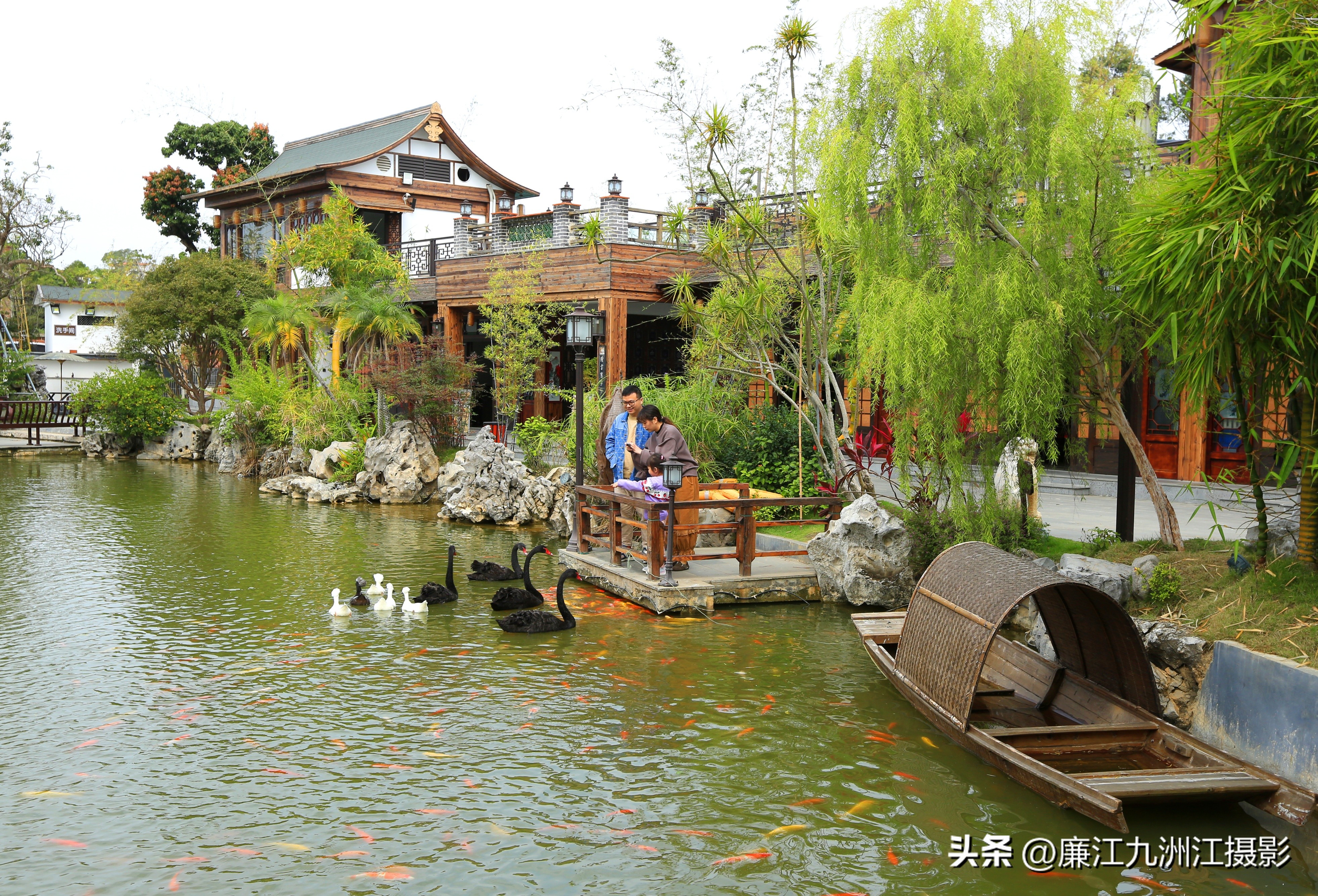 最高端的盆景展,一场惊艳的盆景展