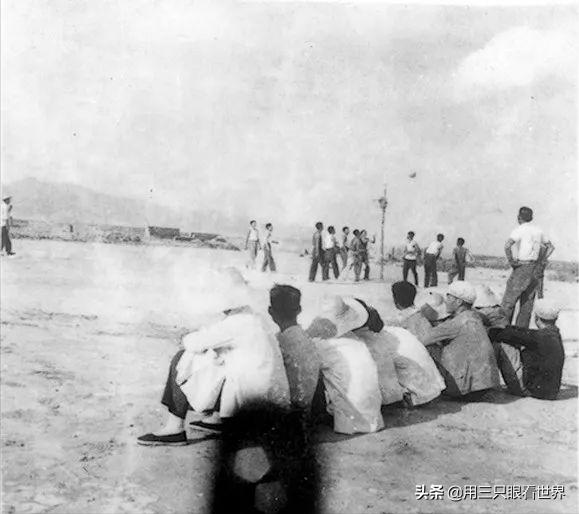 知青青年悲惨经历,知青的生活留下点点滴滴美好回忆