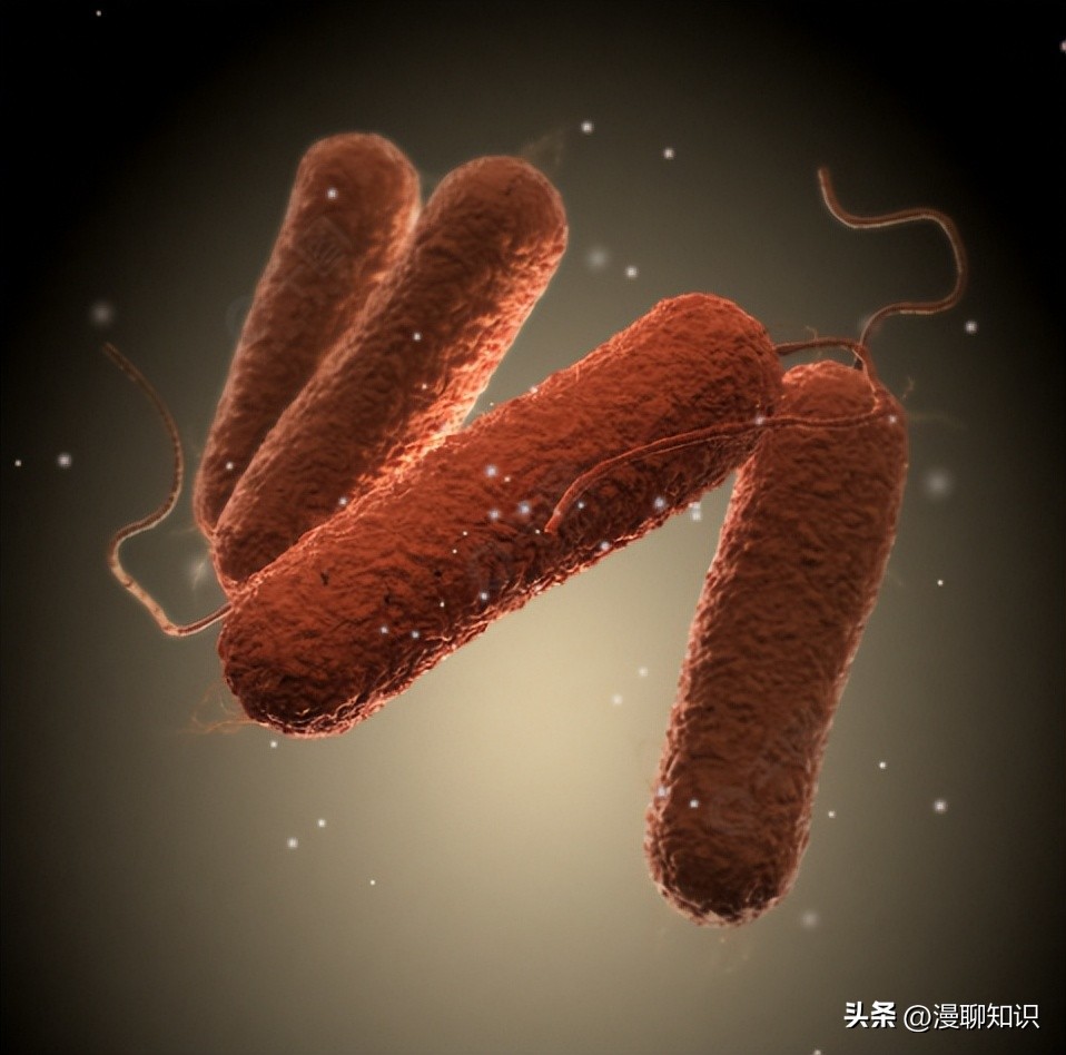 沙门氏杆菌遇高温能消灭吗,沙门氏菌对营养要求高吗