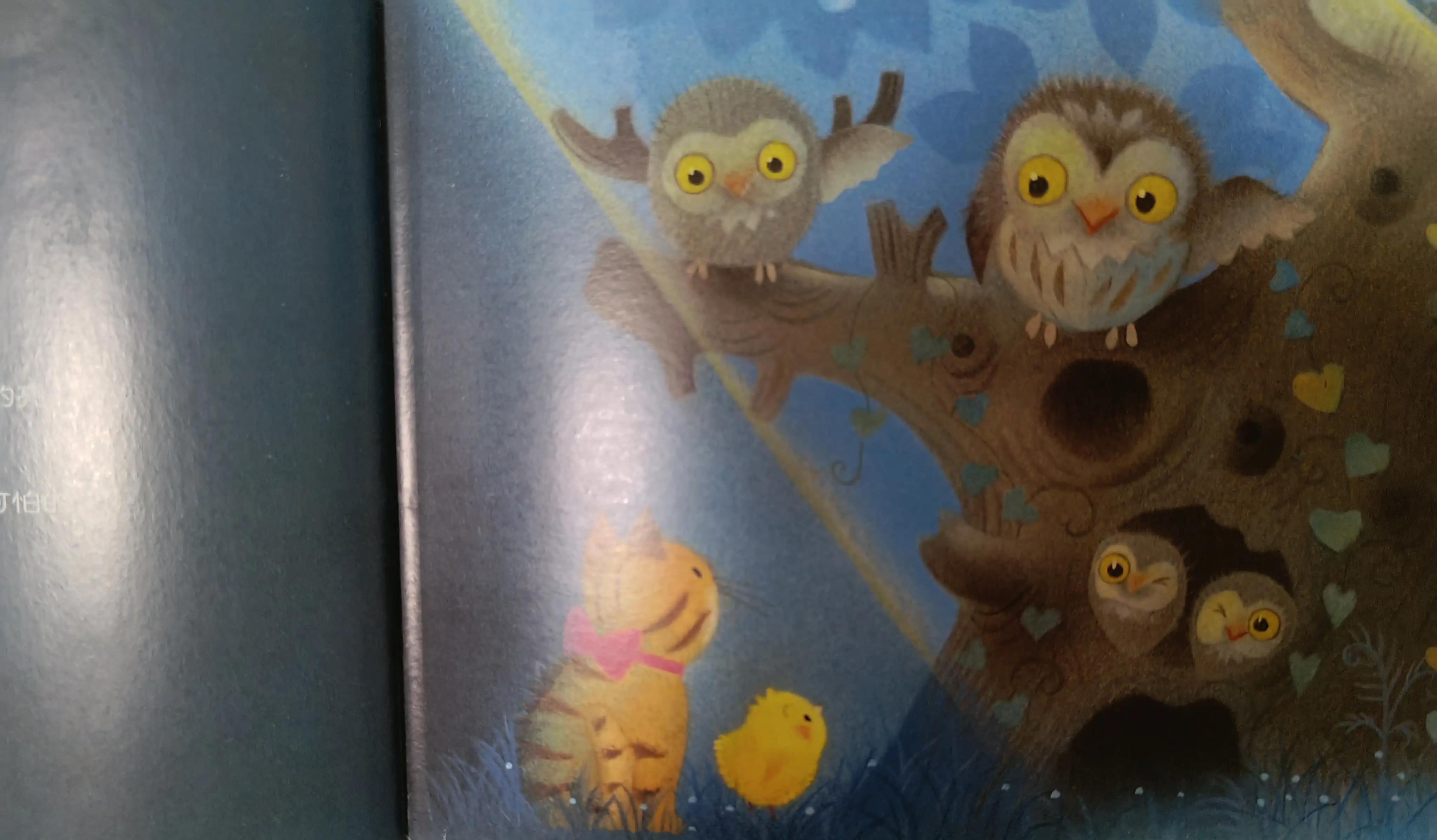 GoodNightChickBall!晚安！小鸡球球！暑假家庭双语剧系列