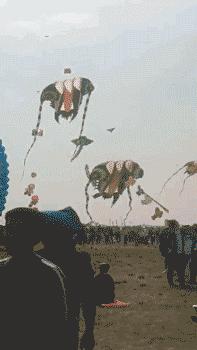 老婆包里发现的药片,老婆包里发现这个药片