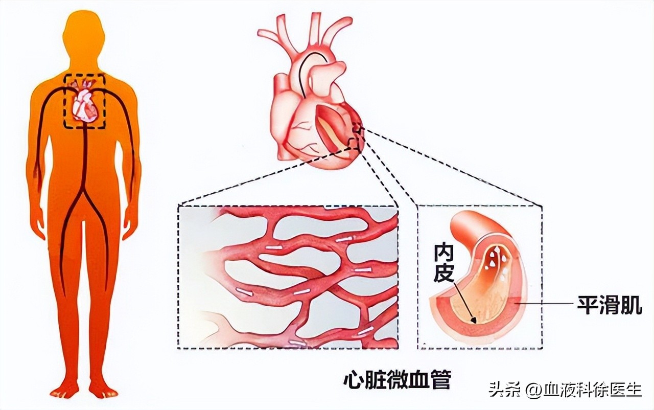 阿利沙坦酯片降压效果怎样,降压药阿利沙坦酯片的副作用