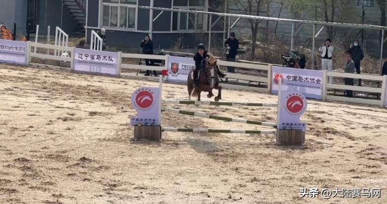 东骏青奥霸气斩获大满贯！2023中马协U系列赛（沈阳站）圆满落幕