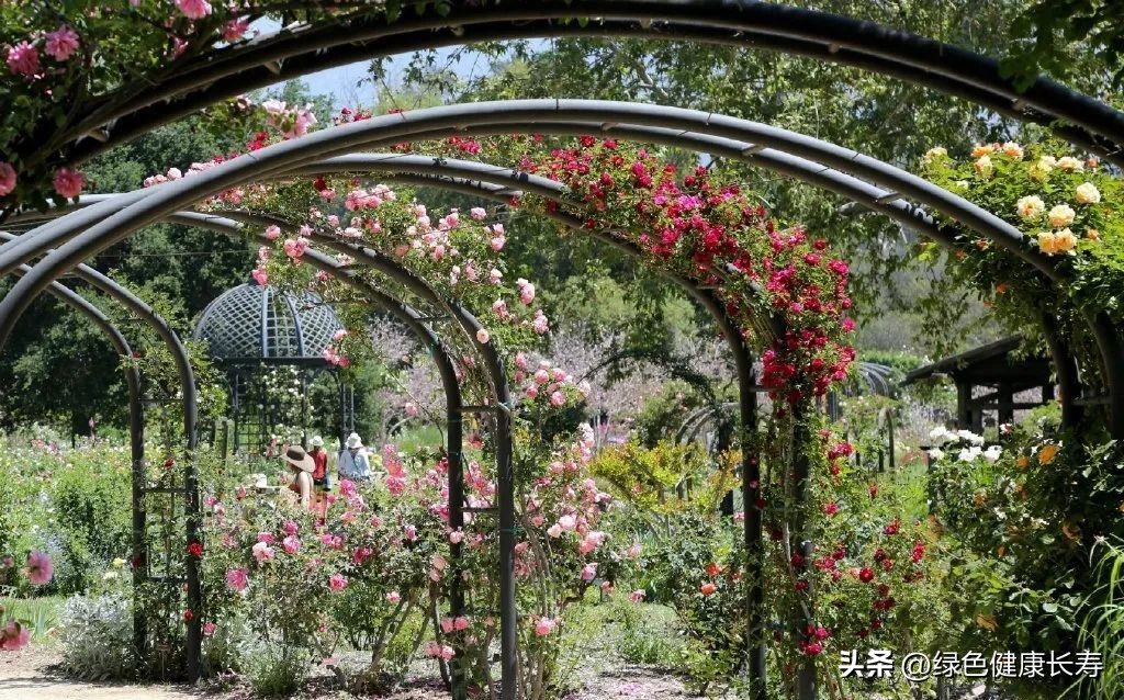 世界花园风景,世界花园