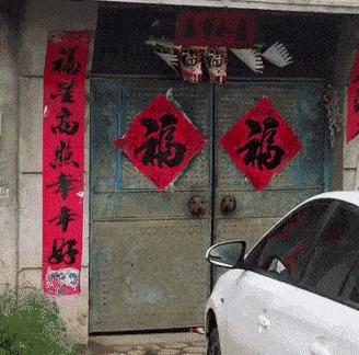 神回复：老鼠贴粘到的，吃了不会犯法吧？网友：自首，争取死缓