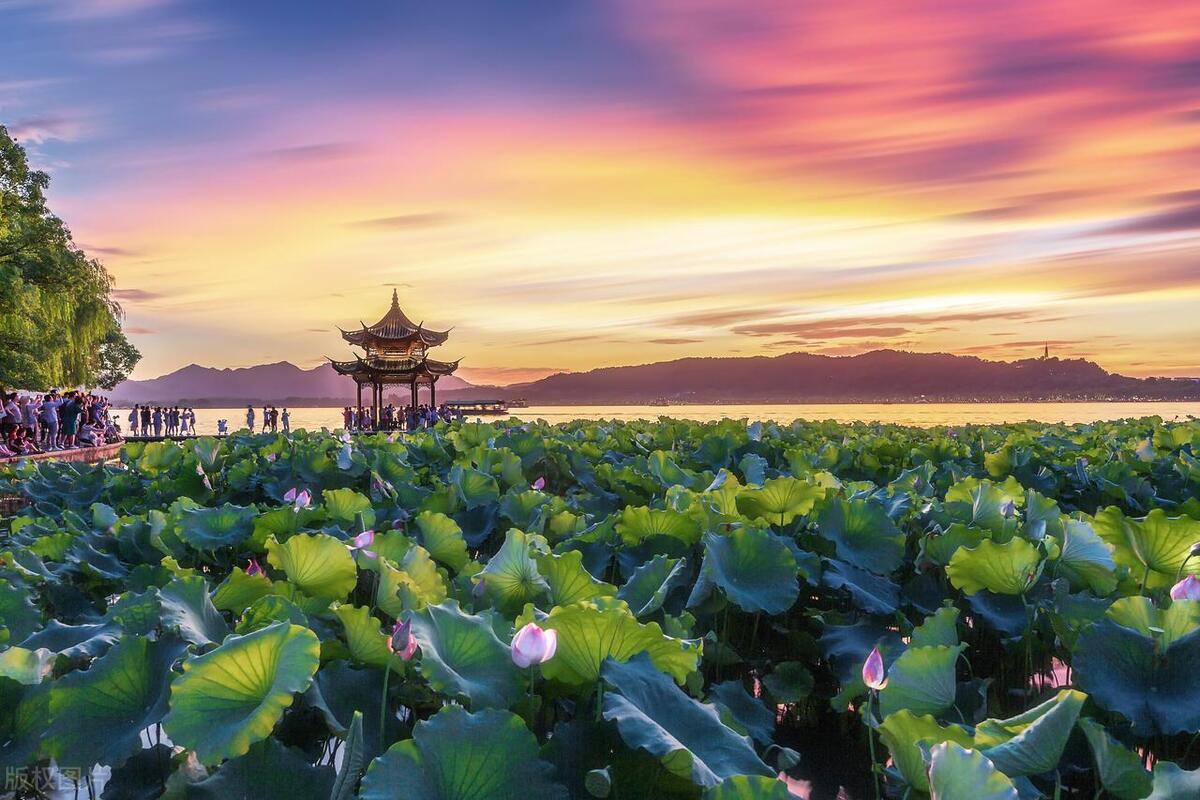 浙江省内赏花,浙江三月赏花