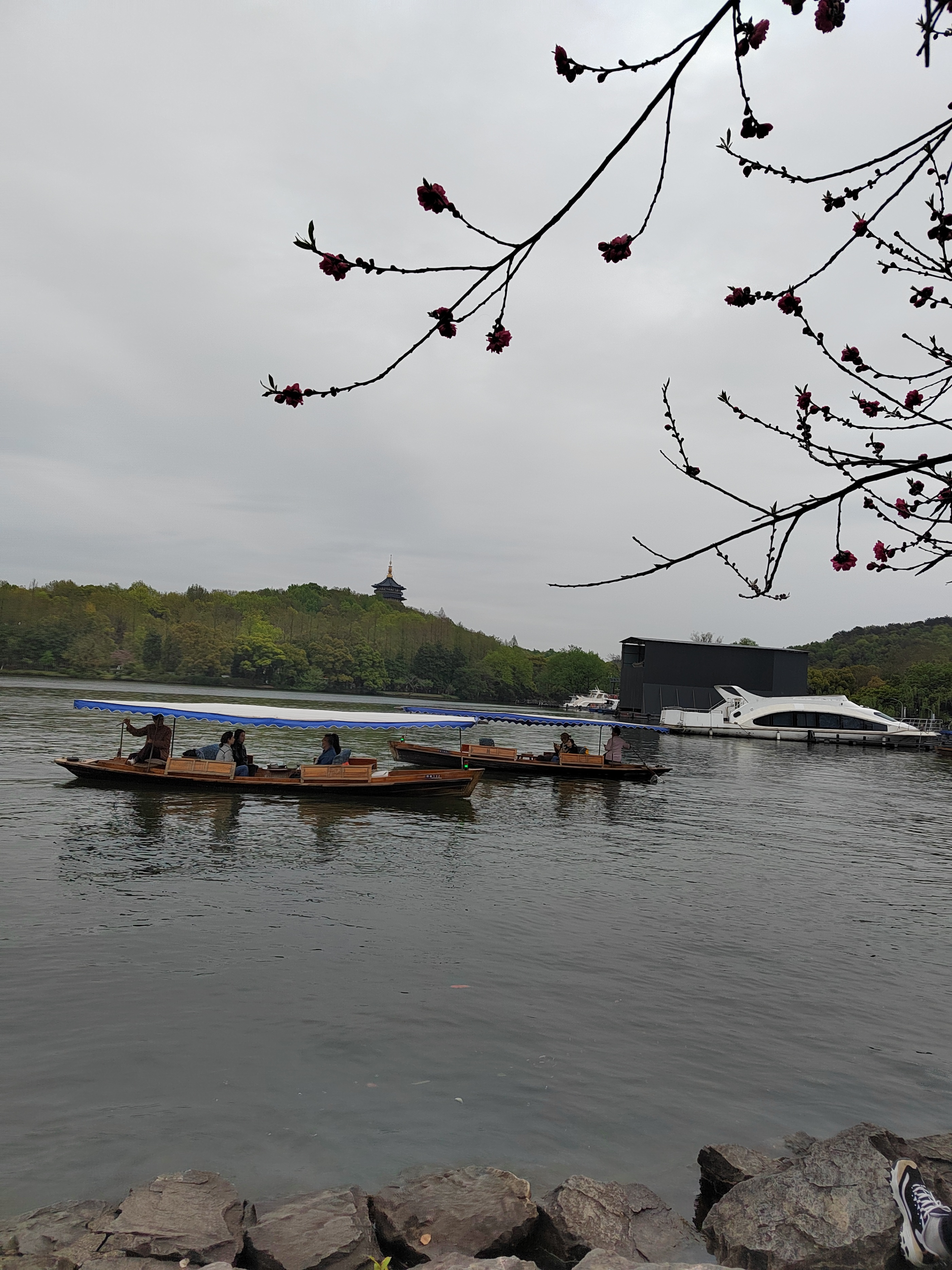 去杭州旅游吃住行最全攻略,去杭州旅游最省钱攻略