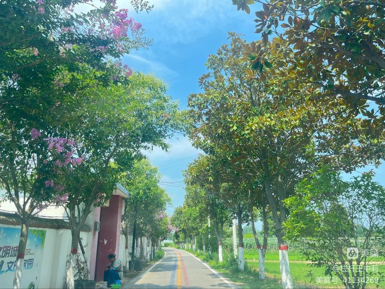 平安淮滨新变化丨淮滨县栏杆街道:喜迎二十大,夸夸我的家乡王湾新变化