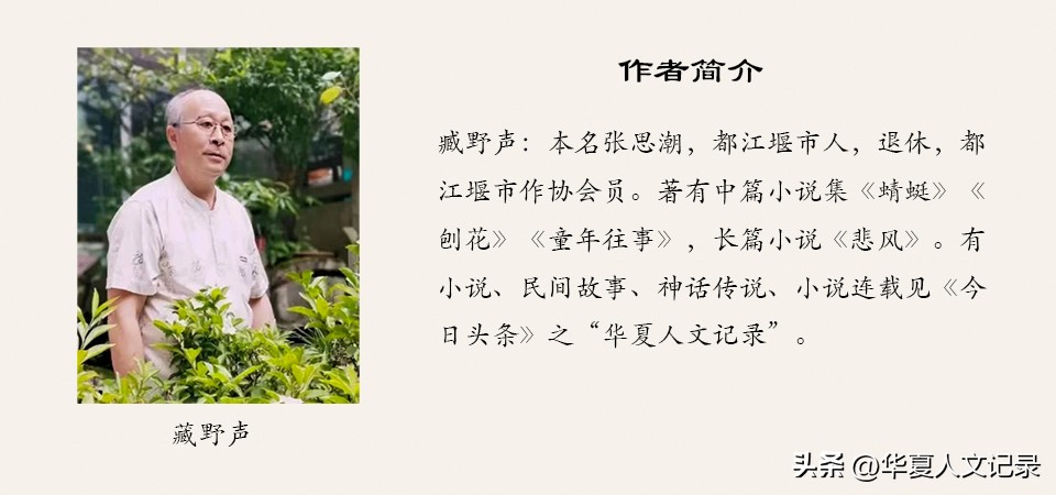 臧野声II清水沟畔刘奶奶（小说连载之三）