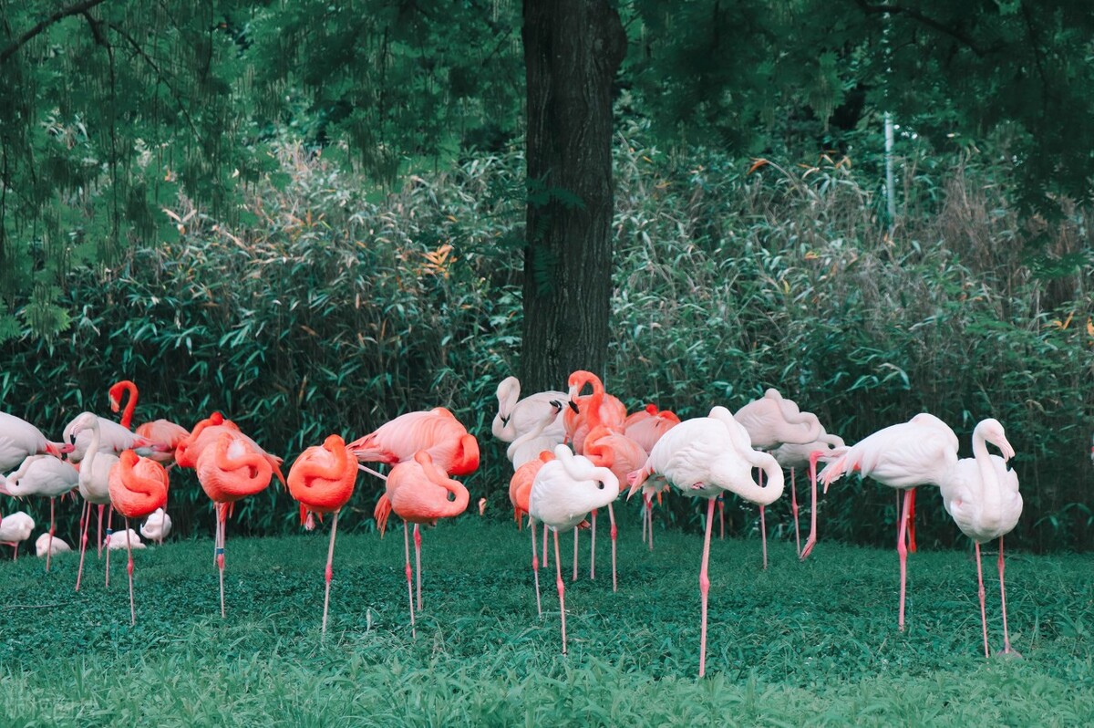上海欢乐谷必玩十大景点,上海十大必去景点迪士尼