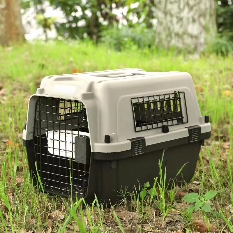 新手铲屎官养猫视频,新手养猫铲屎官攻略