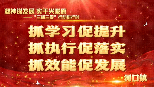 雷湾村发展生态农业助力农民增收,河口农业引领乡村振兴