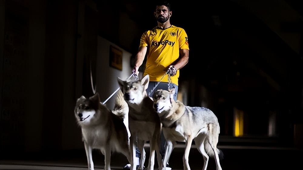 加盟狼队！迭戈科斯塔能达到出场标准吗？最近两年只踢了五个月球