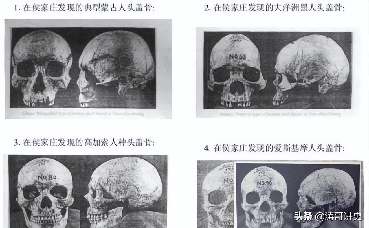 殷墟发现白人遗骨,殷墟遗址出土白人头骨