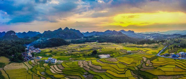 增优势创品牌推进农业高质量发展,助力现代农业产业高质量发展