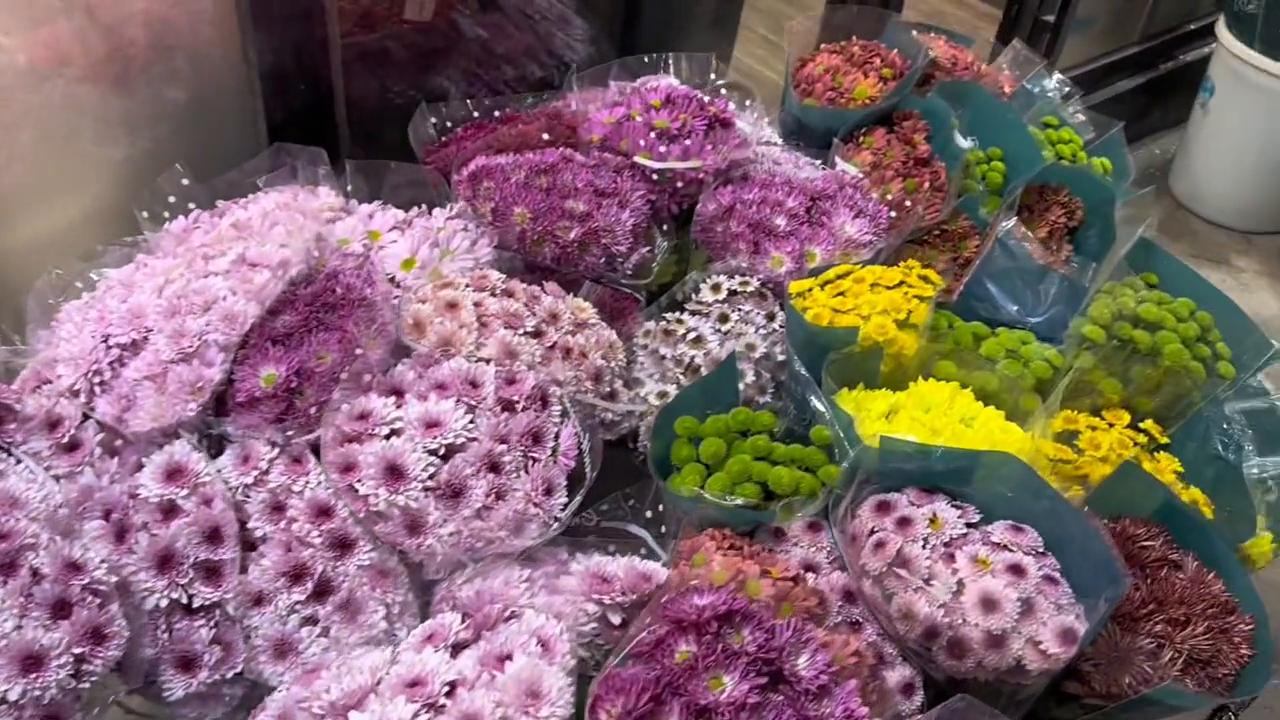 沉浸式逛广州岭南花卉市场,一年一度逛岭南花卉市场