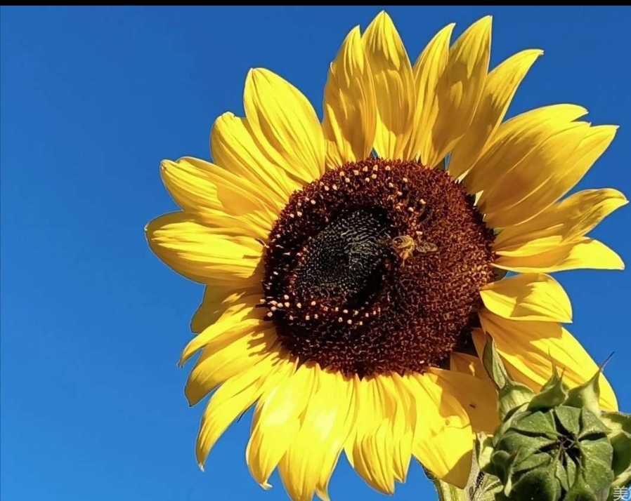 致自己本命年简短的话,48岁写给自己本命年的话