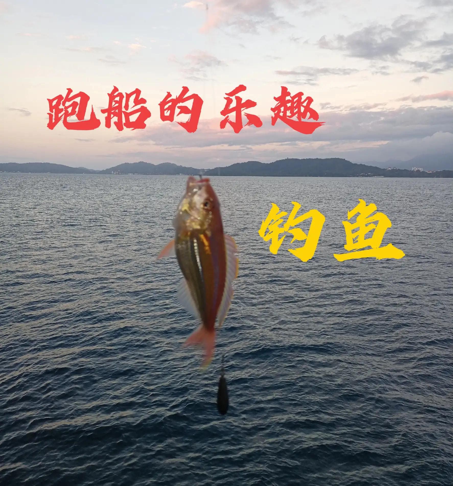 跑船钓鱼,跑船人的乐趣