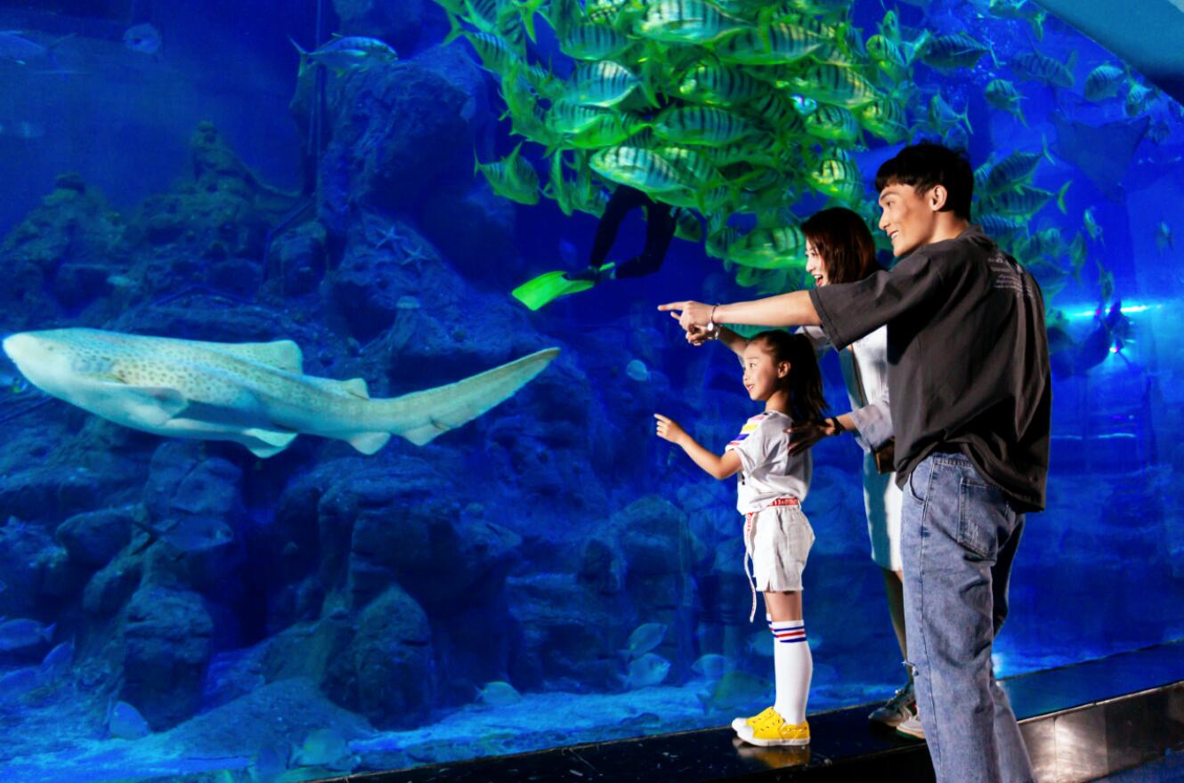 威海神游海洋门票多少钱,威海神游海洋世界推荐游玩时间