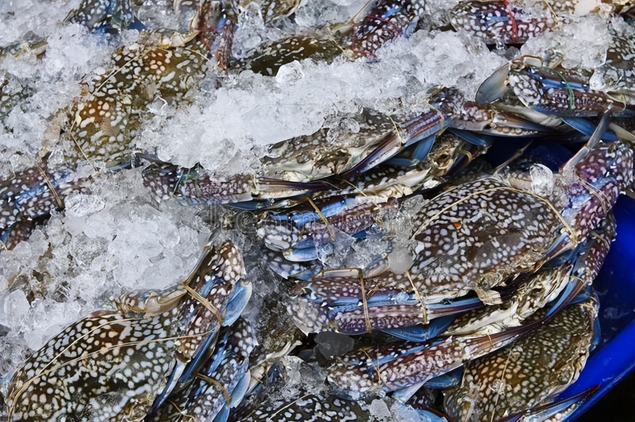 软化血管降血脂食物有哪些,降血脂软化血管食物一张表