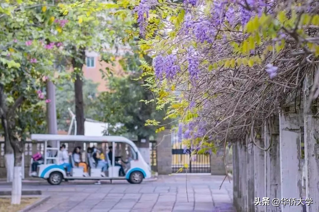 华侨大学2024年单招招生简章,华侨大学2023年本科招生章程