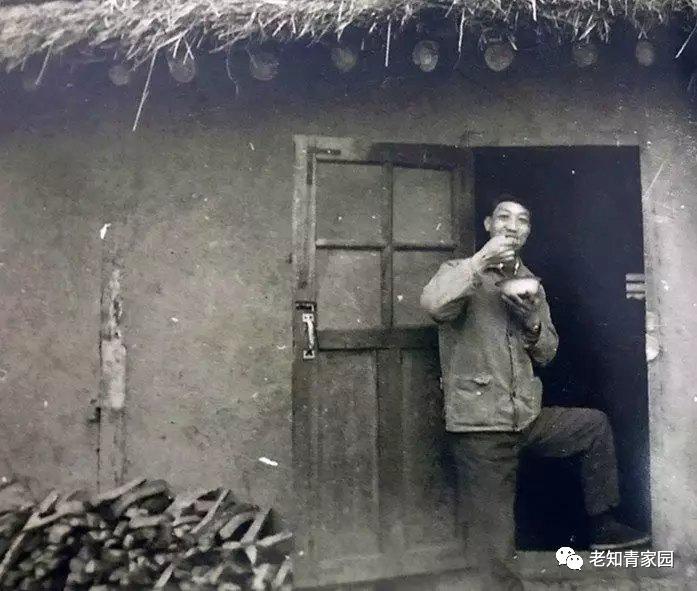 上山下乡的知青文化,知青上山下乡聚餐