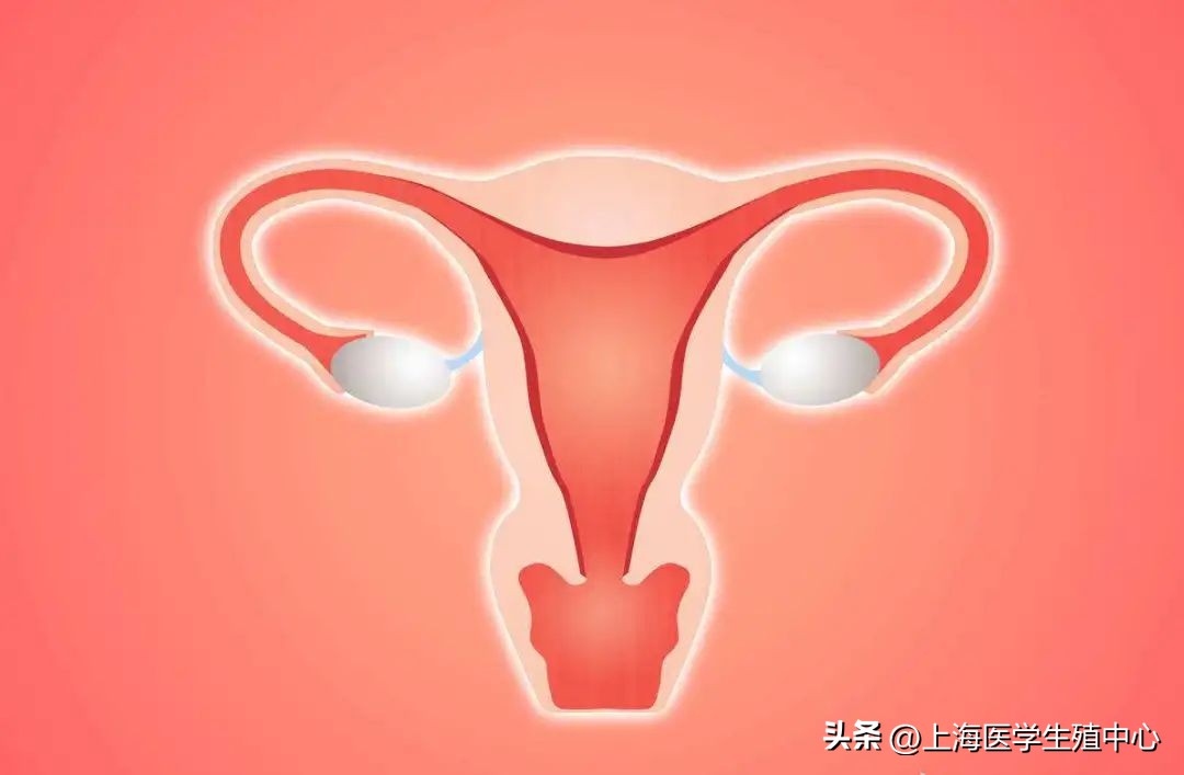 试管移植后躺还是不躺,囊胚移植要躺还是不躺