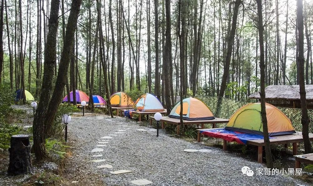 露营经济可以投资，避开“精致”调性就成