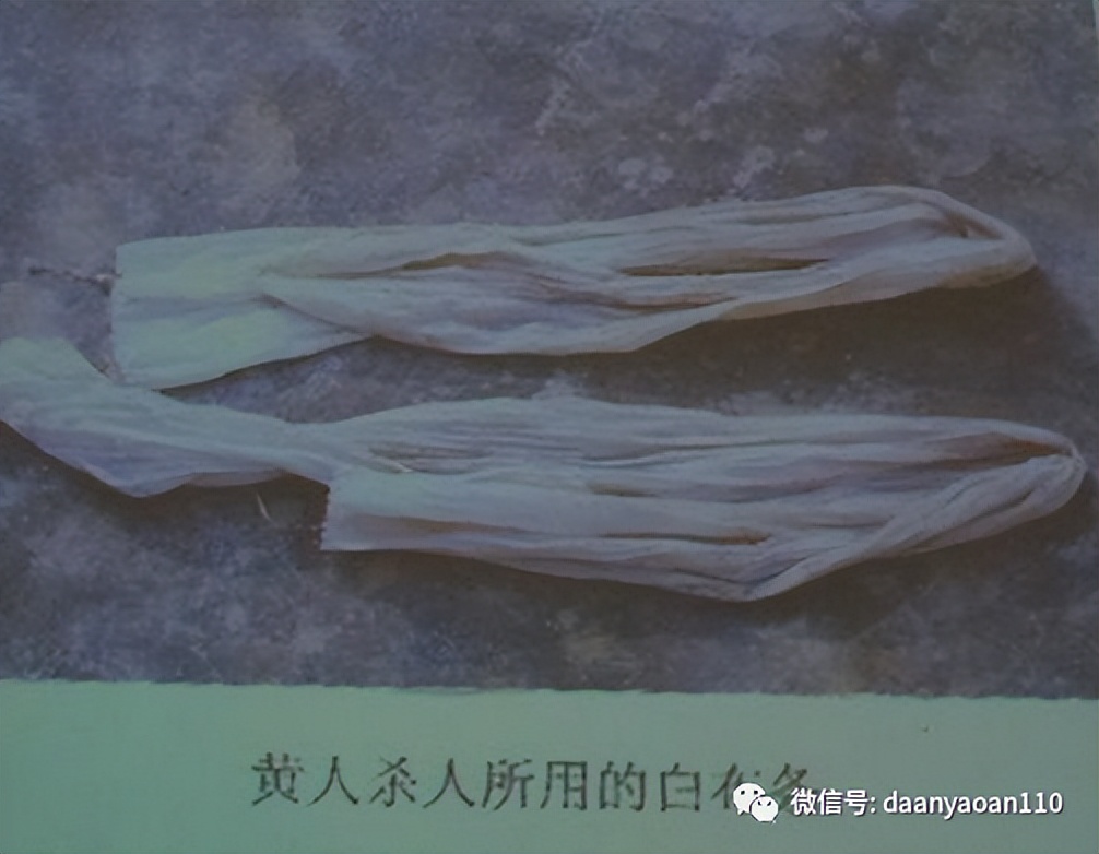 智能木马连环杀人案后续,智能木马连环杀