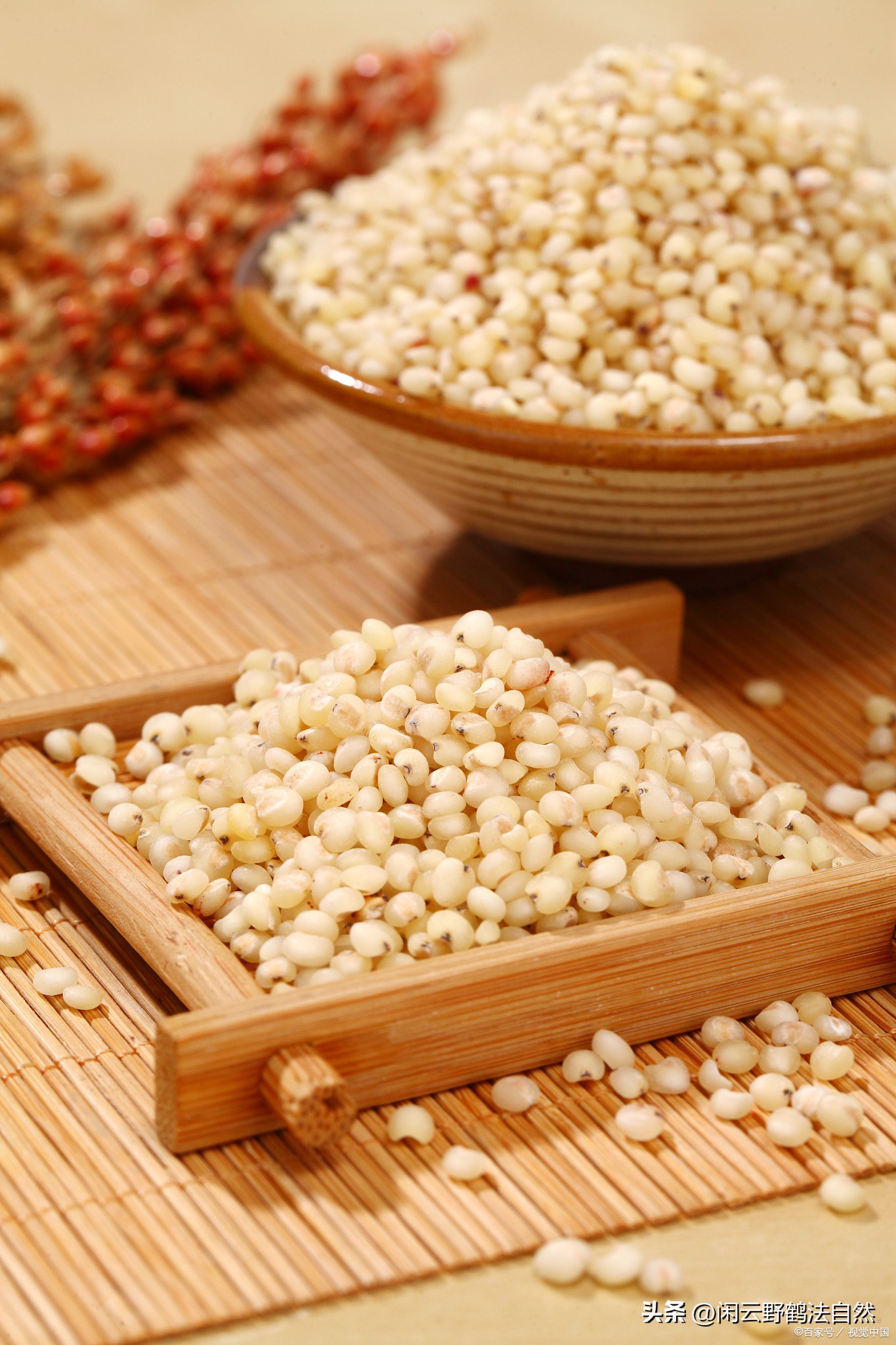 薏仁药食同源辅助降血糖好食材特膳食品前景广