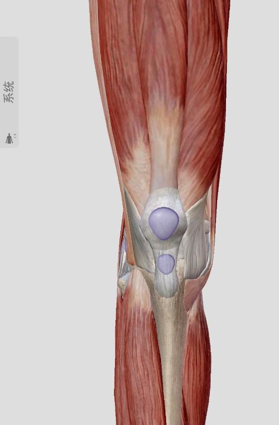 骨刺骨质增生图片大全,骨质增生与骨刺是不是同类病名